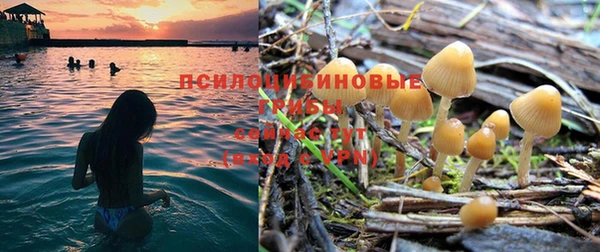мяу мяу мука Абинск