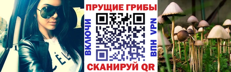 Галлюциногенные грибы мицелий  Сорск 